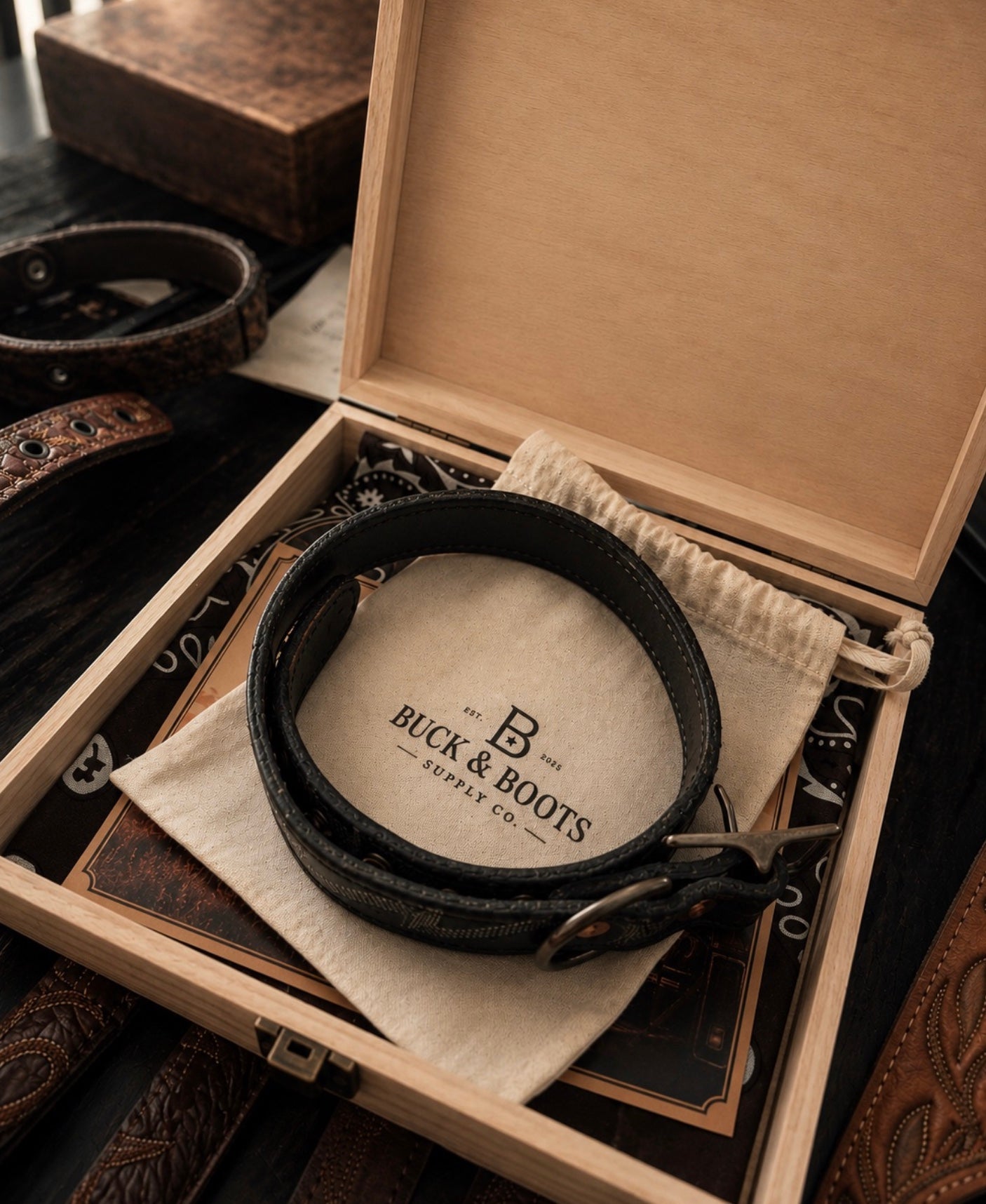 Nightfall | Handcrafted Cowboy Boot Dog Collar